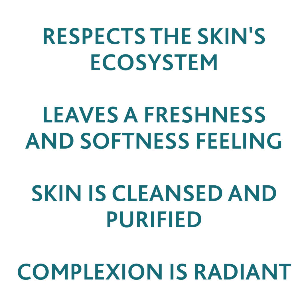 Gentle Deep Pore Cleanser