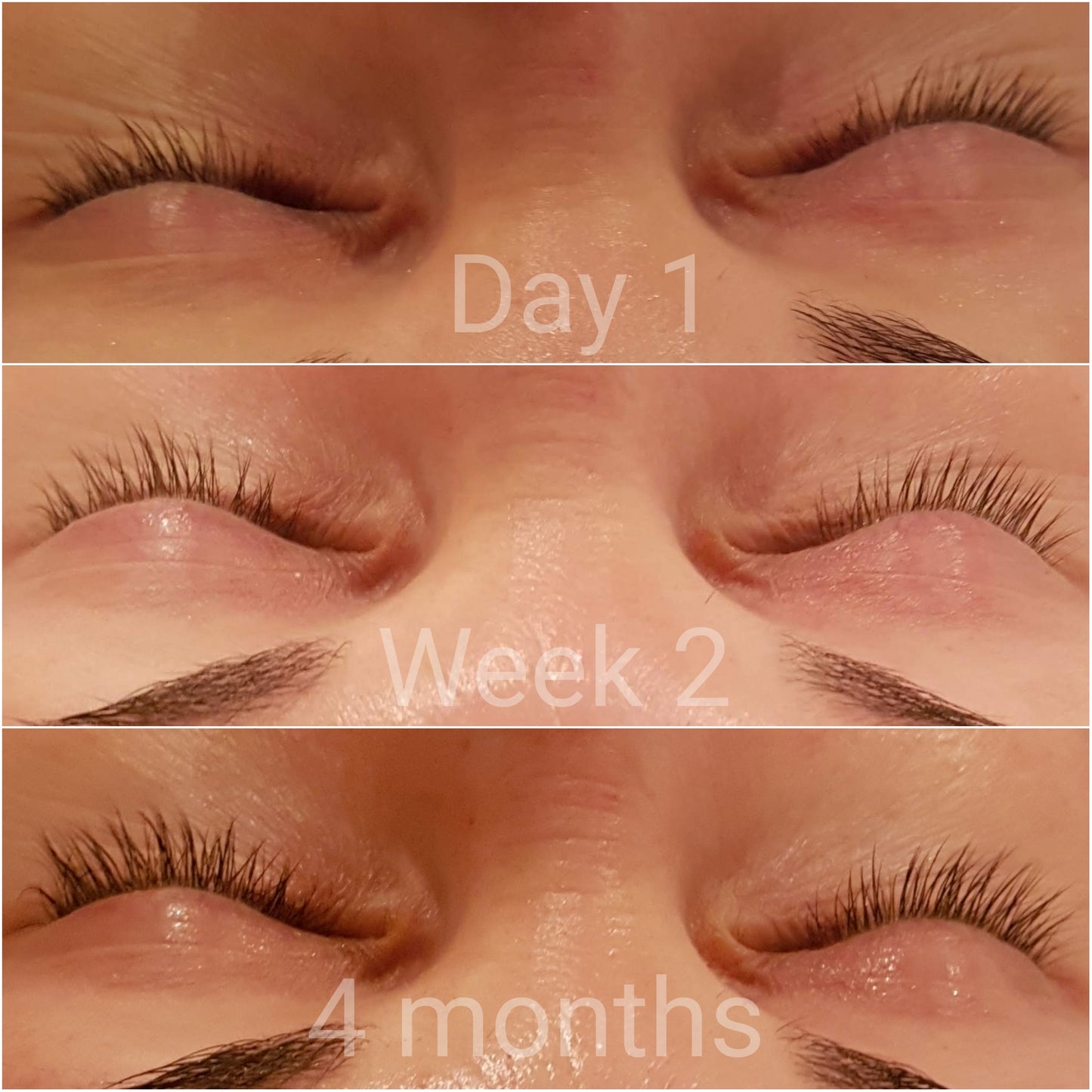 Revive 7 Lash Serum